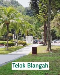 Teluk blanga is the district between pasir panjang and tanjong pagar. Shoanproperty For Sale 39 Telok Blangah Rise 5 Room