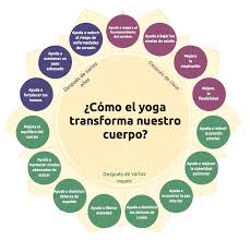 Cuáles son los beneficios y los riesgos del bikram yoga. Como El Yoga Transforma El Cuerpo Mad4yoga
