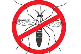 They make smoky fires and cattle gathers in smoke to get rid of mosquitoes. Do Fire Pits Keep Mosquitoes Away Backyard Toasty