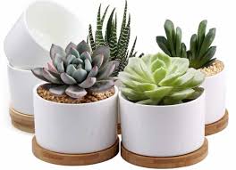 Pcs, handys, zubehör & mehr Top 15 Cheap Ceramic Flower Pots Review 2021 Best Ceramics Review