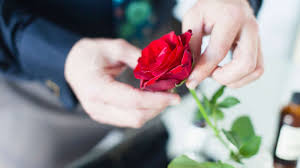 While many flowers are popular to send on valentine's day the most common flowers are red roses, pink lilies and red tulips. Group Of Good Guys Hands Out Roses To Single Women Widows And Military Wives On Valentine S Day Abc News