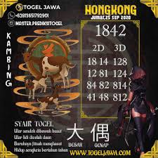 Pin On Hongkong