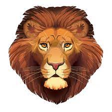 Lion Face By Eliket On Deviantart Lion Face Drawing Lion Art Animal Drawings
