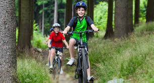 Mountainbike Fahren Im Wald Infos Zur Zwei Meter Regel Ministerium Fur Verkehr Baden Wurttemberg