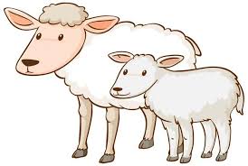 Free Sheep Clip Art Vectors, 600+ Images in AI, EPS format