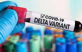 Jul 25, 2021 · maduro: Cepa Delta Deve Se Tornar Predominante Pelo Mundo Preve Diretor Geral Da Oms