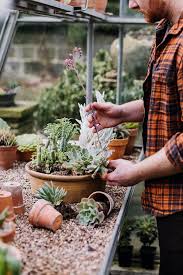 Image result for Caputia