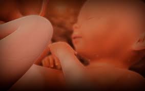 Berikut 9 cara untuk menggugurkan kandungan yang kuat dan lemah secara alami untuk usia kehamilan 1,2,3,4,5,6,7 bulan yang sudah terbukti menggugurkan janin secara cepat yang wajib anda. Kehamilan Berusia 28 Minggu Apa Yang Diharapkan Terjadi