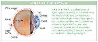 Cscr is a relatively common, idiopathic retinopathy that causes fluctuating vision loss, often affecting central vision. Central Serous Chorioretinopathy The American Society Of Retina Specialists