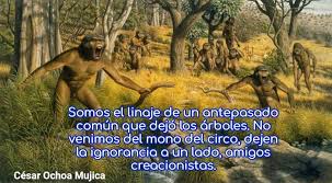 EVOLUCIÓN (con PDF descargable) ¿Cómo era la tierra hace millones de años?,  ¿y los animales?, ¿cuándo apareció el ser humano?, ¿convivimos con los  dinosaurios?, ¿provenimos del mono?… Me apetecía mucho hacer una