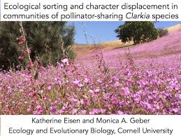 Kate Eisen (@KateEisen)