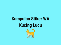 P whatsapp disebut juga wa. Kumpulan Stiker Wa Kucing Lucu Teyengnulis Com