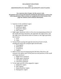 Anatomical terminology worksheet use correct anatomical terminology to complete each sentence below. Anatomical Terminology Worksheet Tchs