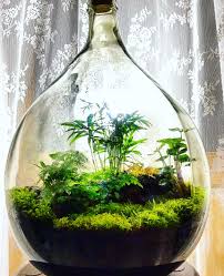 Terrarium Whispering Wood Terrarium Beautiful Terrariums Bottle Garden