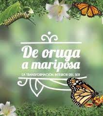 De Oruga A Mariposa By Vora Magazine On Marzo 31 2017 Por Yanet Cuellar Los Animales Comunmente Son El Reflejo De Oruga A Mariposa Oruga Ser De Luz