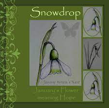 Snowdrop Month Of January Flower And Its Meaning Https Www Facebook Com Jennywrensnest January Flower Flower Meanings Flower Art