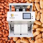 Peanut Color Sorter Machine at Best Price in New Delhi ...