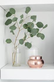 There are many varieties of eucalyptus. Eucalyptus For Home Decor Faq Lemon Thistle