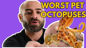 Insight Into Eyes Part 2: The Incredible Octopus Eye, by David Heidemann