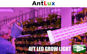Check spelling or type a new query. Amazon Com Antlux 4ft Led Grow Light 80w 600w Equivalent Full Spectrum Integrated Growing Lamp Fixture For Greenhouse Hydroponic Indoor Plant Seedling Veg And Flower Plug In With On Off Switch Garden