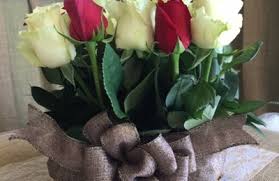 Maybe you would like to learn more about one of these? The Progress Flowers 7803 E Colonial Dr Orlando Fl 32807 Yp Com