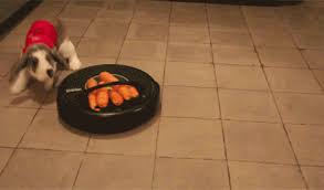 Resultado de imagen de energizer bunny gifs