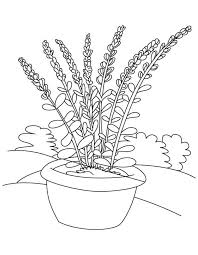 Check spelling or type a new query. Plants And Flowers Archives Best Coloring Pages For Kids