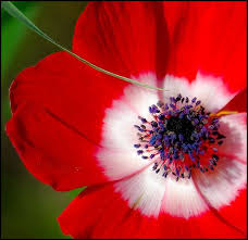 Pin On Images I Love