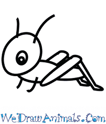How To Draw A Cute Grasshopper Please enter your email address receive free weekly tutorial in your email. how to draw a cute grasshopper