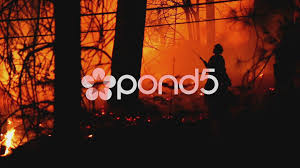 Fire Fighter Spraying Water On Forest Fire Stock Footage Spraying Water Fire Fighter Forest Fire Fire Stock Firefighter