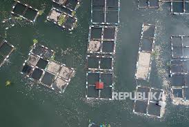 Jumlah Keramba Jaring Apung Di Waduk Jatiluhur Disensus Republika Online