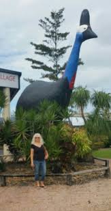 The Big Cassowary Mission Beach North Queensland Australia Australia Australian Icons Visit Australia
