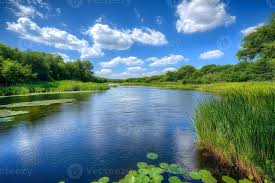 picture using blue and green