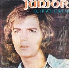 Junior (54) Discography: Vinyl, CDs, & More