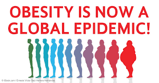 Image result for Obesity