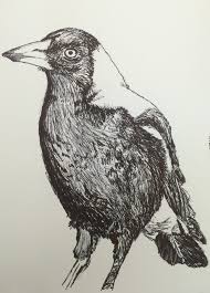 Maybe you would like to learn more about one of these? Kyle Regli Magpie From Pressure