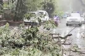 Monsoon roadblocks: Ambani convoy caught in Mumbai rain while en route to Aamir Khan’s wedding