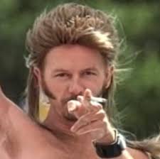 Do I need PS Plus to power level a character in Diablo 3 ROS