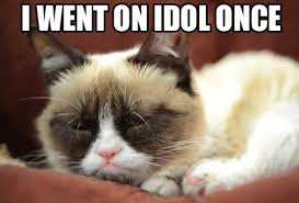 • • • bernie memes are so last week. Funny Fat Cat Memes Clean Cat S Blog