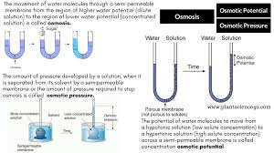 The tendency of a fluid, usually water, to pass through a semipermeable membrane into a solution where the solvent concentration is higher, thus equalizing the concentrations of materials on either side of the membrane. Difference Between Osmotic Pressure And Osmotic Potential