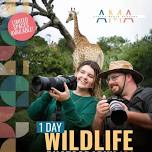 Wildlife Photography 101 At Bon Game Reserve