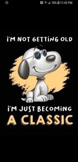 You can post these on the facebook and use as a text message as well. Pin By Jeanne Mcmullen On Snoopy Forever Birthday Quotes Funny Happy Birthday Quotes Funny Happy Birthday Funny