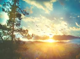 Calculate local times for sunrises, sunsets, meridian passing, sun distance, altitude and twilight, dusk and dawn times. Sunrise Wish To Enjoy A Spectacular Sunrise Sunset We Ll Tell You Where To Go The Economic Times