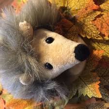 Igel Isedor Eine Geschichte Zum Lernen Lauschen Mitmachen Nachmachen Liebhaben Staunen Und Gerne Haben In 2020 Igel Geschichtensackchen Geschichten Fur Kinder