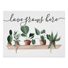 Download 212 cactus quotes stock illustrations, vectors & clipart for free or amazingly low rates! Cactus Quotes Art Wall Decor Zazzle