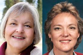 General Election 2020: Montana Legislature