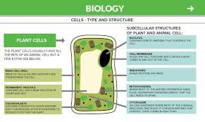 Cell structure plants and animal cells share the same basic structural features, although plant cells have a few extra bits. Biology Gcse For Android Apk Download
