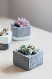 They can be left alone and survive just fine on their own. Diy Concrete Planters Erin Made This Succulent Planter Diy Concrete Succulent Planters Diy Concrete Planters
