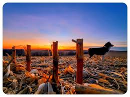 The family farm 💛 Johnathan C. Saunders...