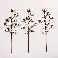 Cluster at branch tips and are small, white, fragrant, and tubular with 4 petals, occur may to july. 20 Tall Farmhouse Rustic Style Display Filler Natural Cotton Branches Home Floral Decor Assr Cotton Stems 3 Pack With 10 Cotton Buds Each Home Decor Home Urbytus Com